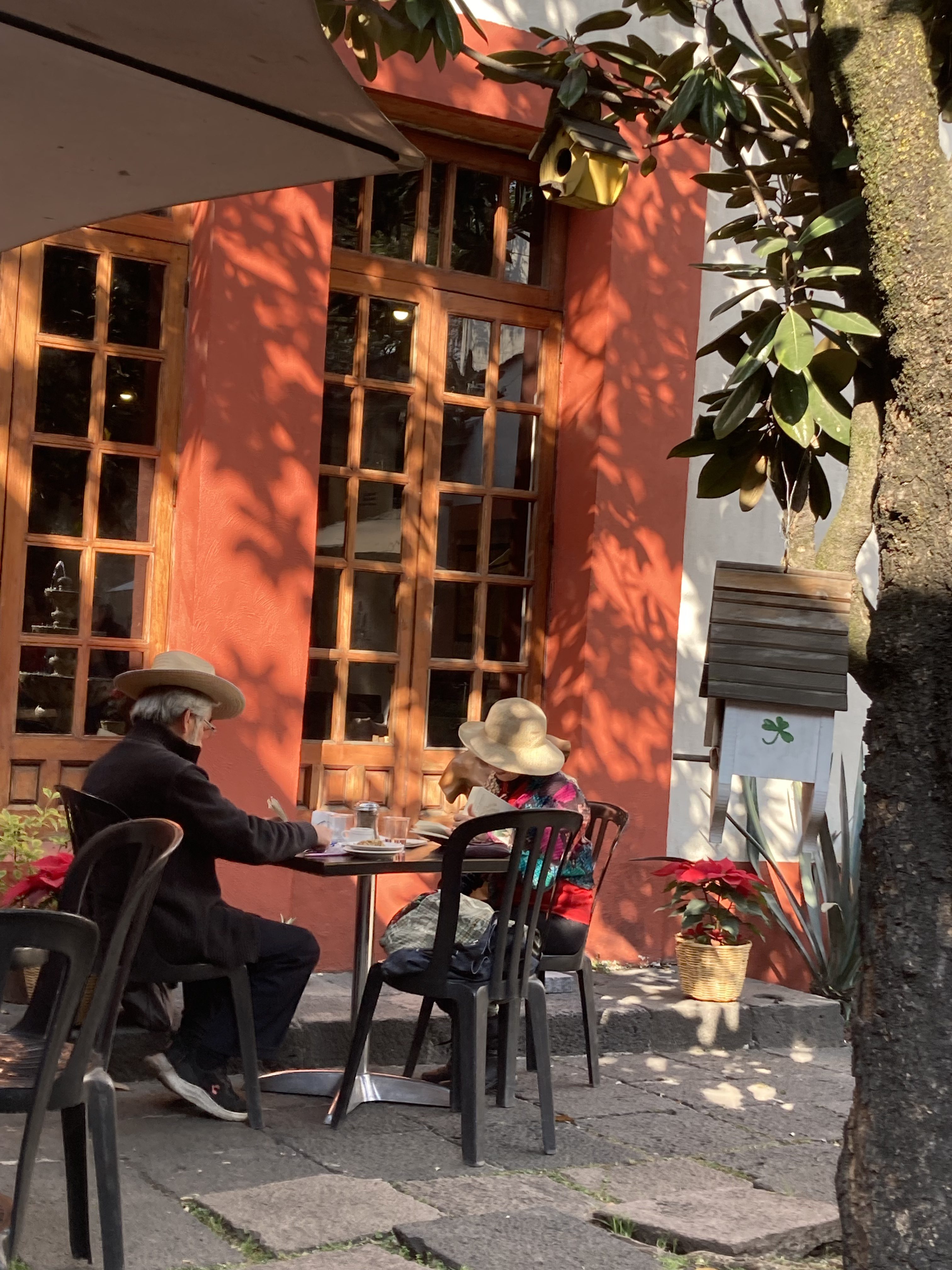 Notes From Mexico City: “La Conquista Continúa”